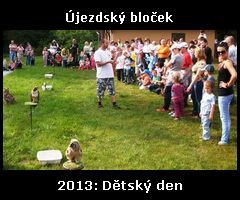 tn_detskyden-2013.jpg